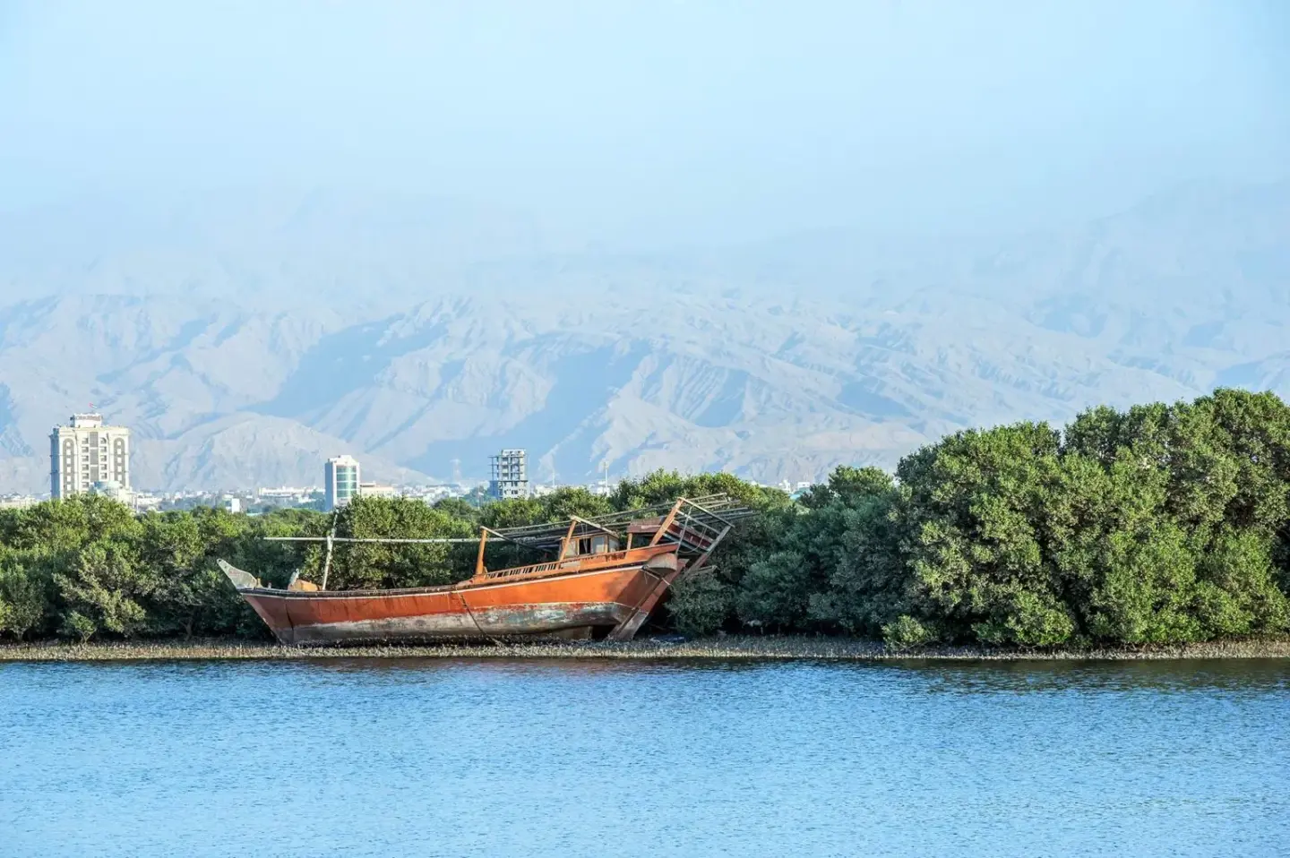 Visit the thriving mangroves at The Ras Al Khaimah Min Al Arab Resort and Spa
