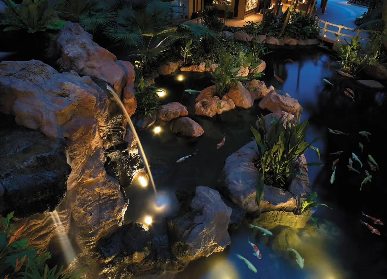 Night Time Koi Ponds