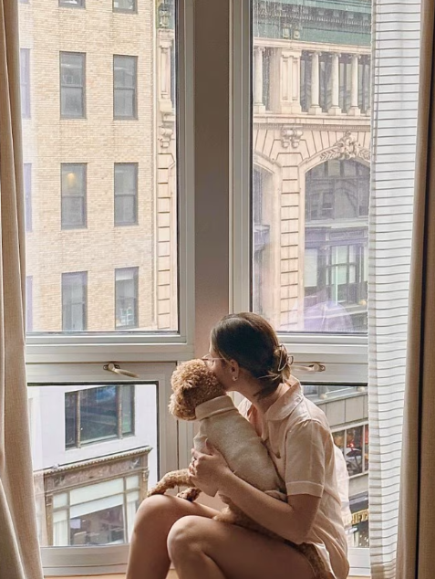 Dog at the New York window